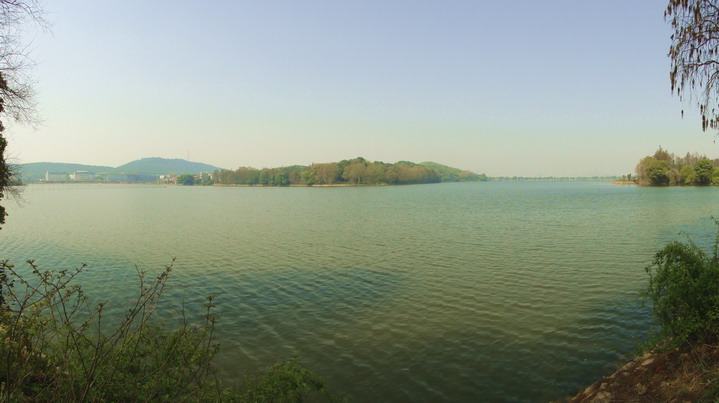dsc06262.jpg