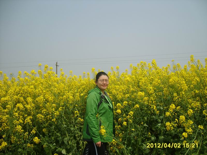 s5007169.jpg2.jpg