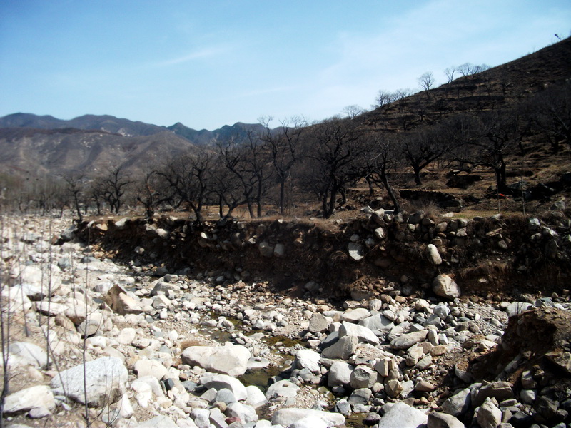dscf0084.jpg