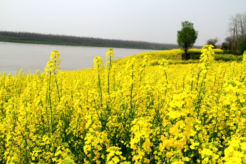 conew_img_4217.jpg