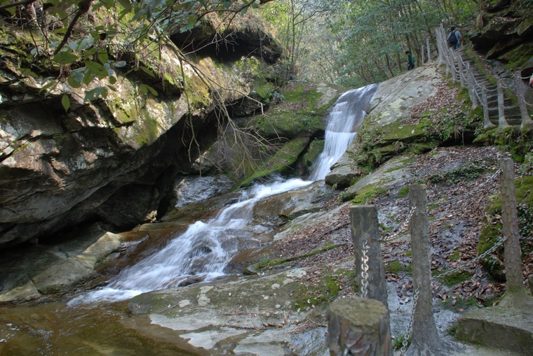 dsc_0012.jpg