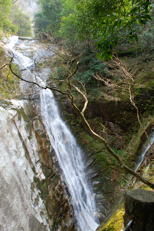 dsc_0018.jpg