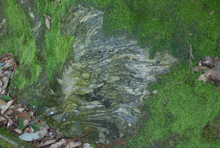 dsc_0021.jpg