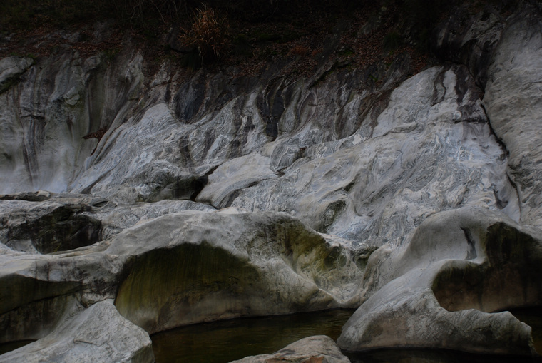 dsc_0068.jpg