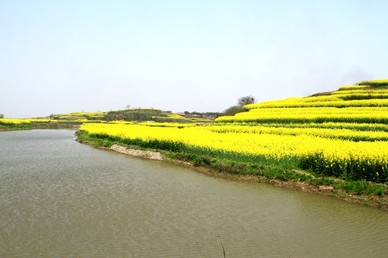 conew_img_4143.jpg