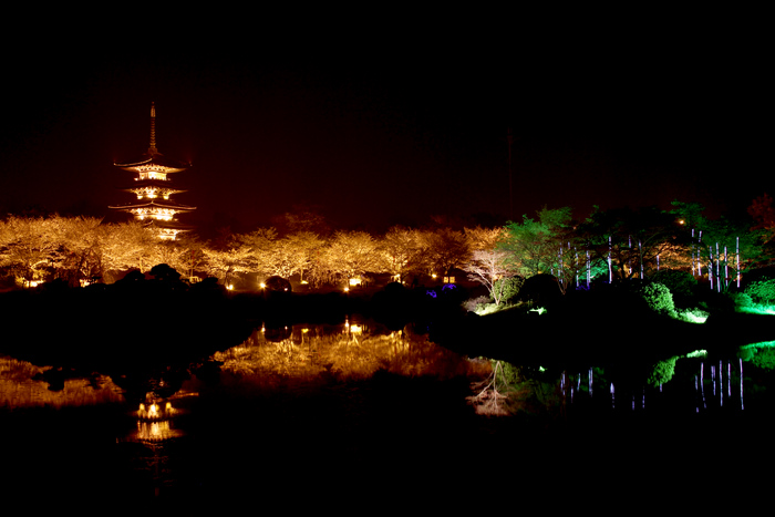 ӣ԰ҹ2012.4.5.jpg