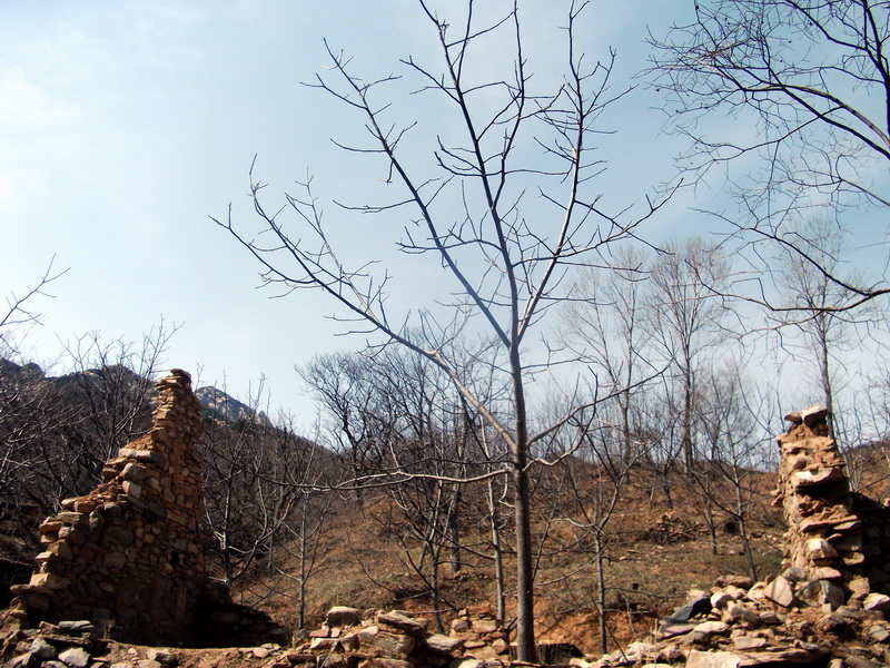 dscf0076.jpg
