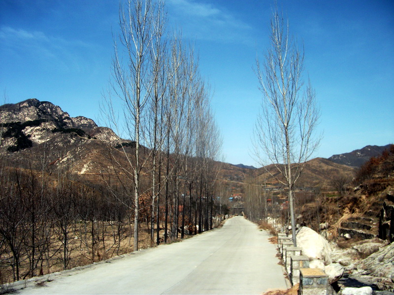 dscf0079.jpg