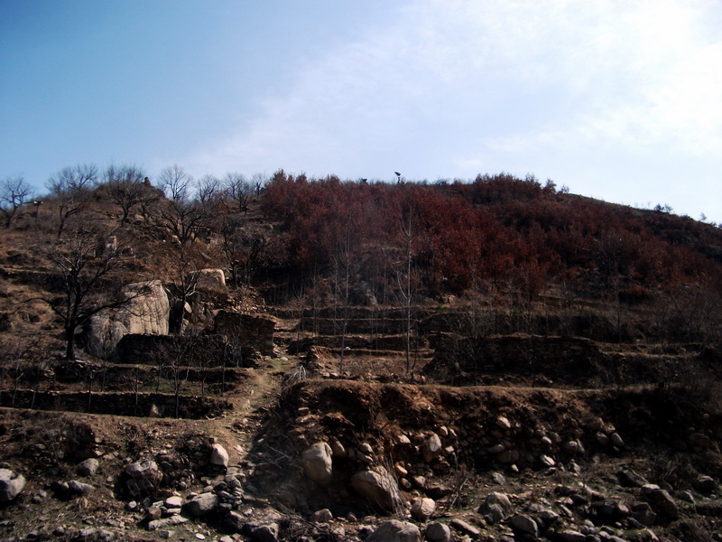 dscf0080.jpg