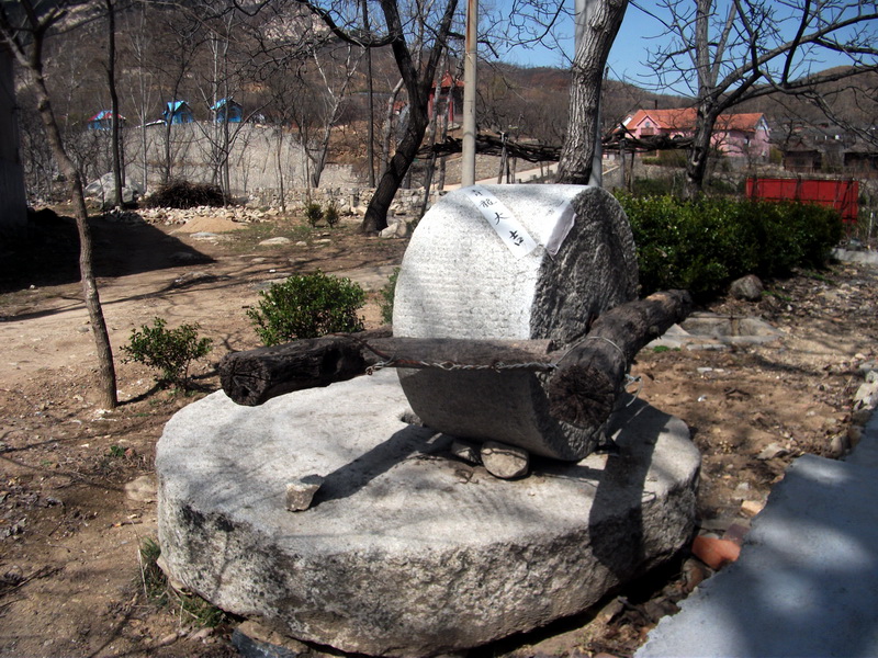 dscf0082.jpg
