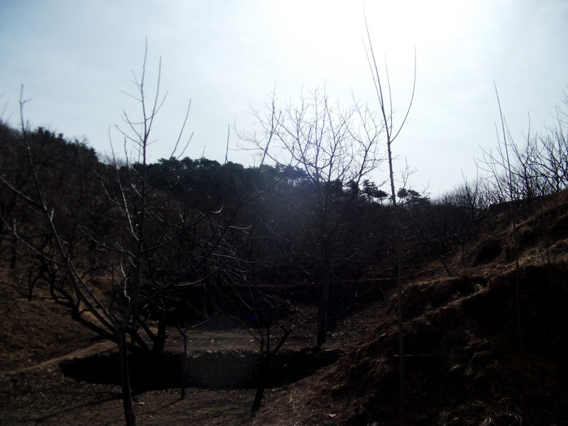 dscf0074.jpg