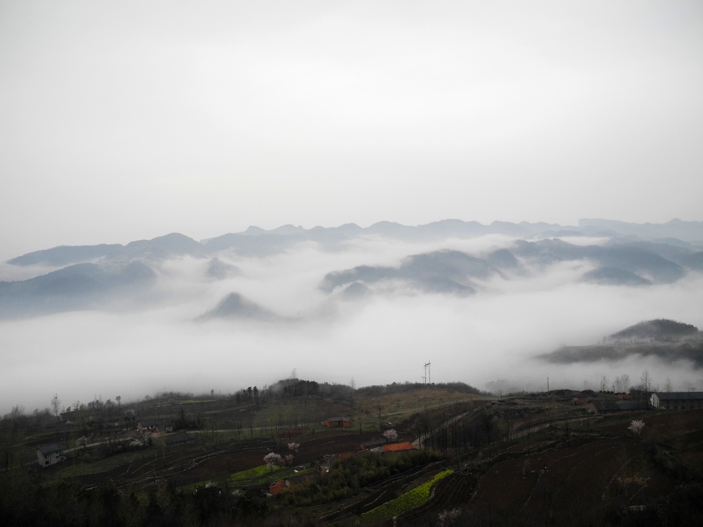 dscn0597.jpg