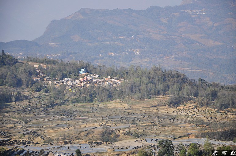 dsc_0594.jpg