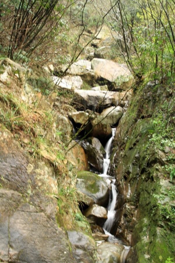 conew_conew_img_4333.jpg