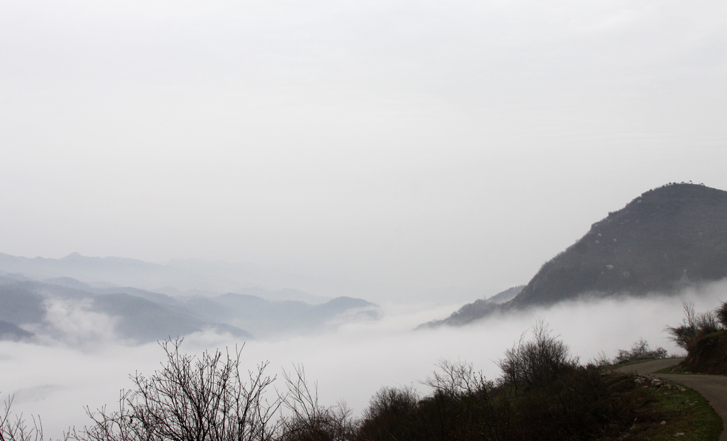 _mg_0508.jpg