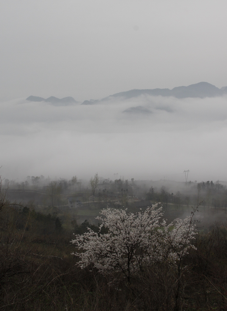 _mg_0516.jpg