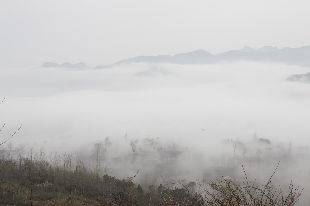 _mg_0509.jpg