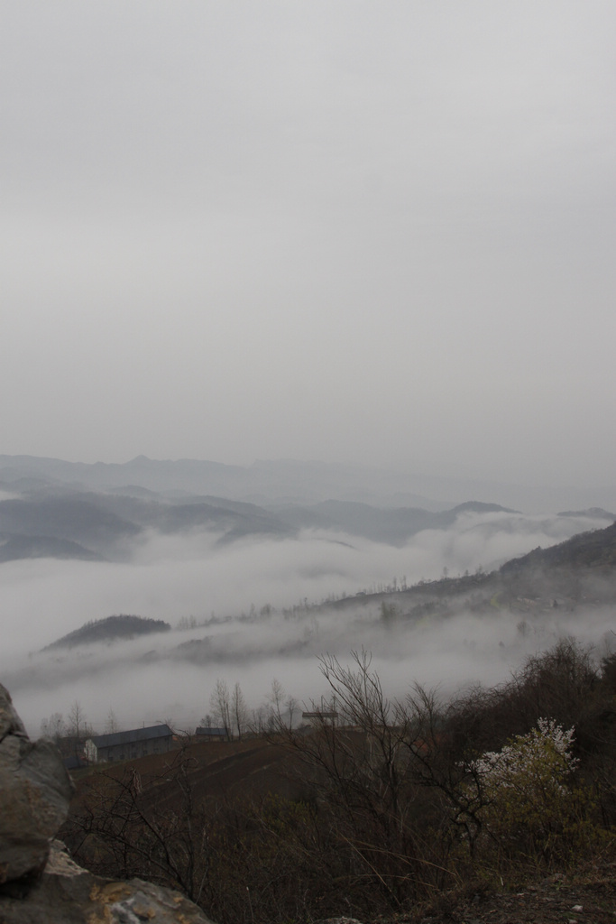 _mg_0528.jpg
