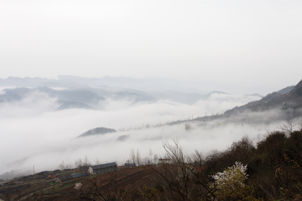 _mg_0525.jpg