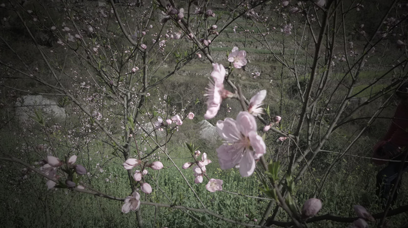 p1100910_.jpg