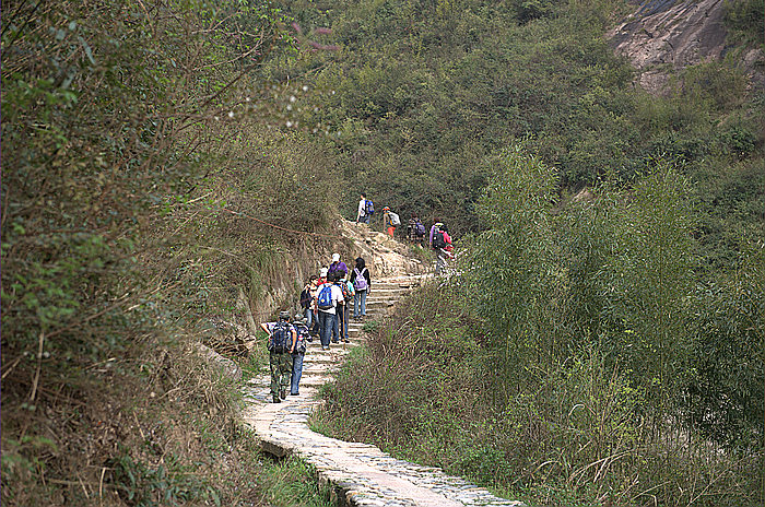 dsc_0598.jpg