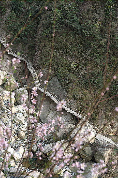 dsc_0609.jpg