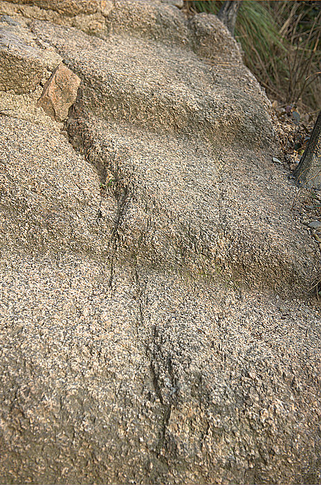 dsc_0607.jpg