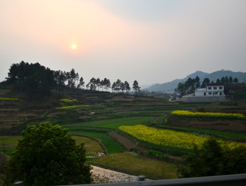  031_conew1.jpg