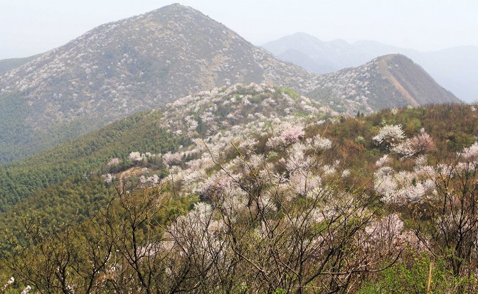 555.jpg