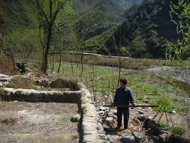 p1100950_.jpg