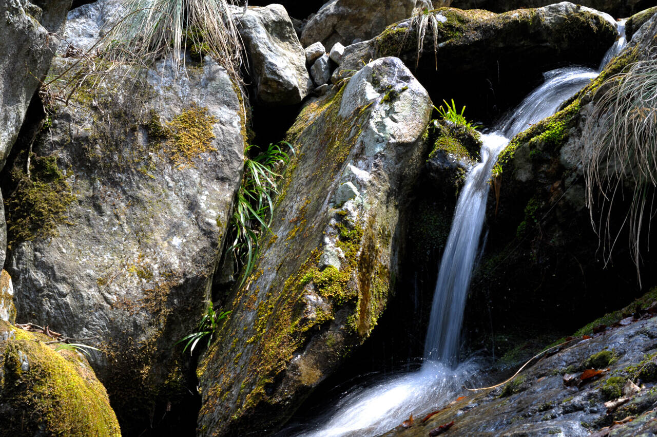 _dsc4134.jpg