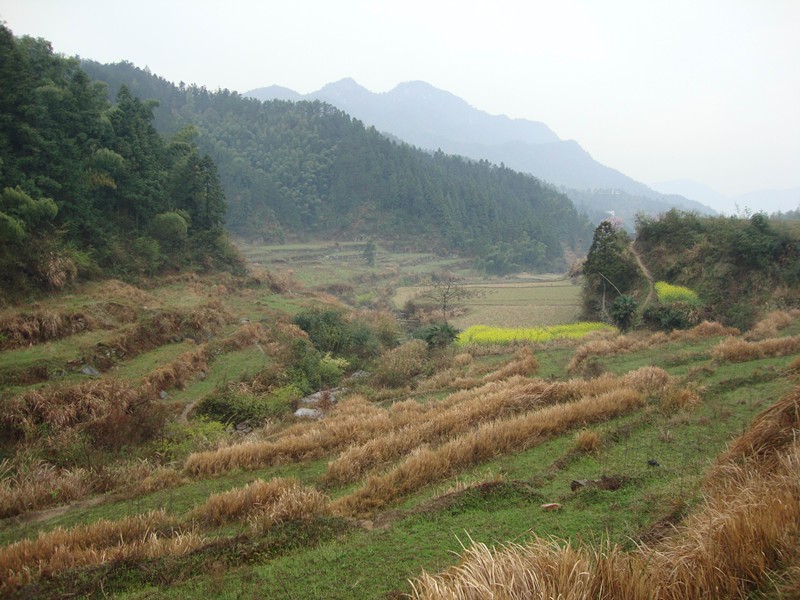dsc07879_.jpg