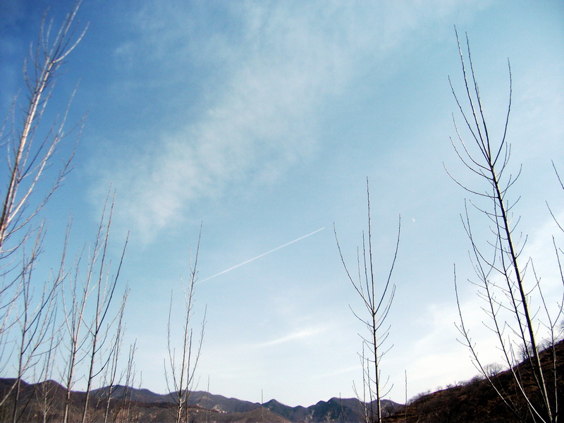 dscf0085.jpg