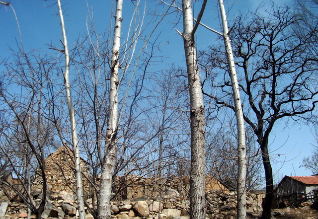 dscf0088.jpg