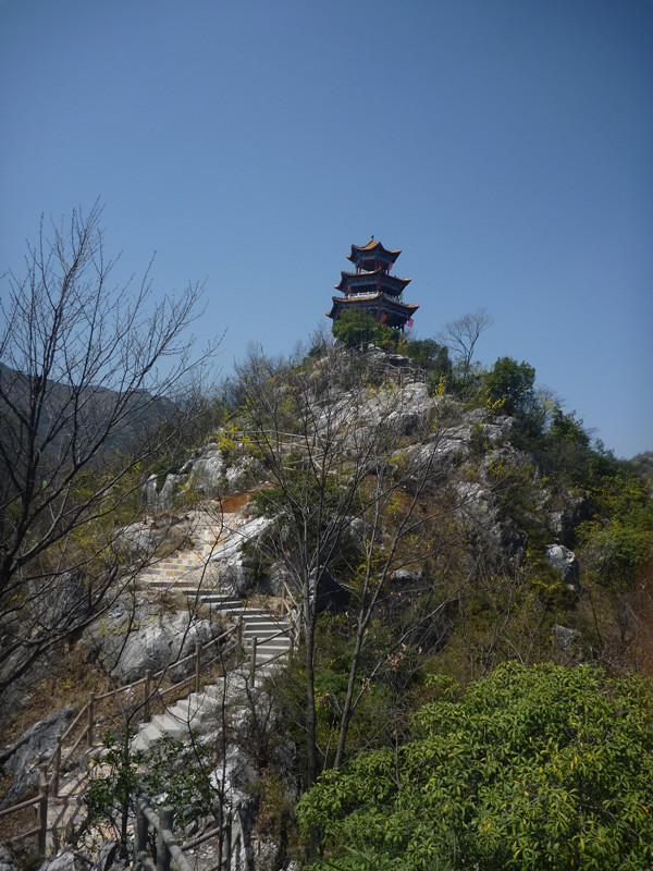 p1110003_.jpg