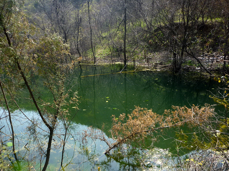 p1110018_.jpg