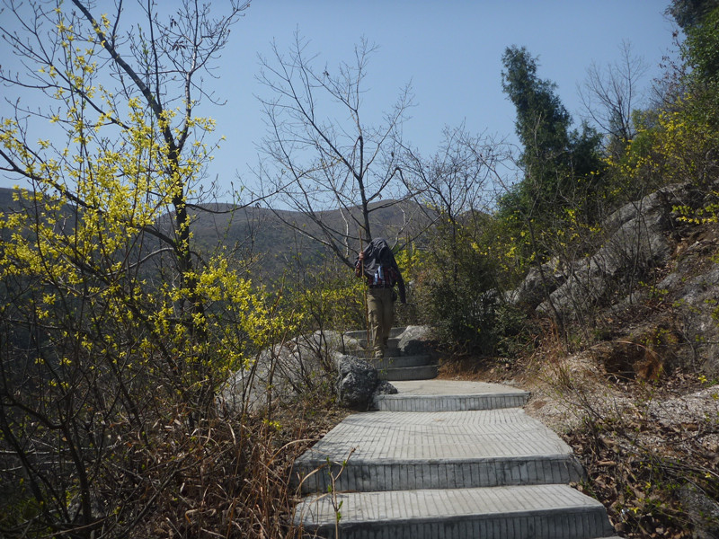 p1110008_.jpg