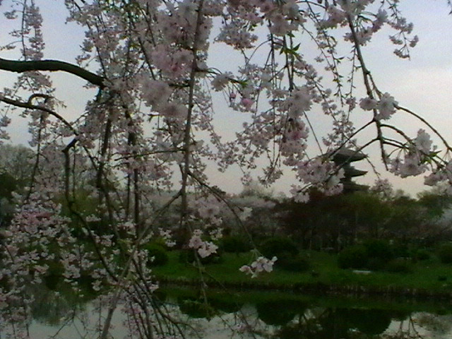 imga0649_.jpg