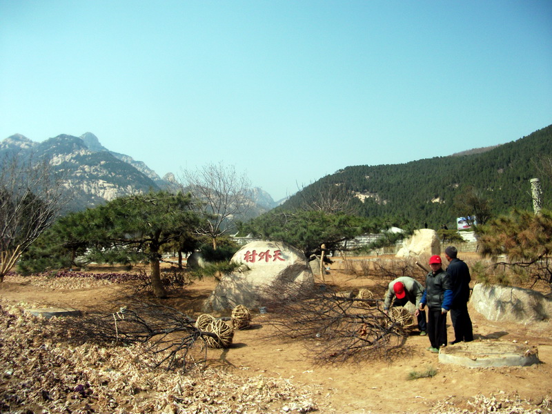 dscf0405.jpg
