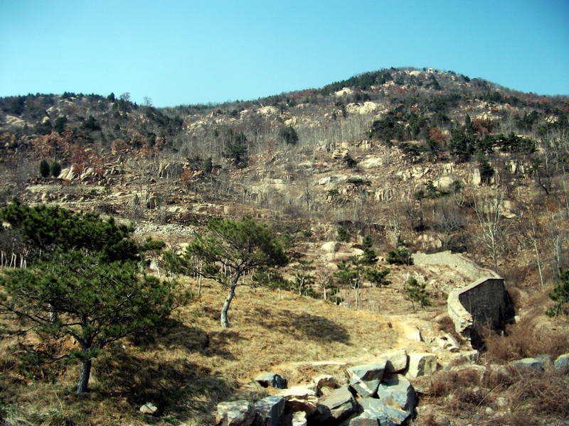 dscf0407.jpg