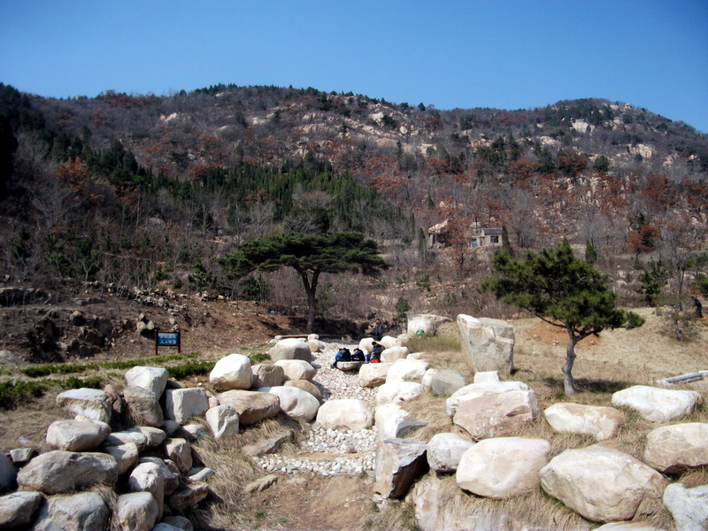 dscf0408.jpg
