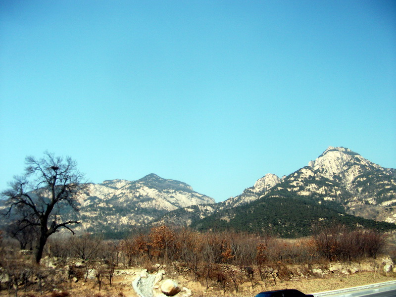dscf0423.jpg
