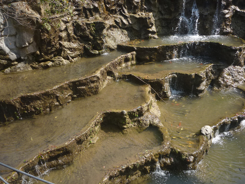 p1100974_.jpg