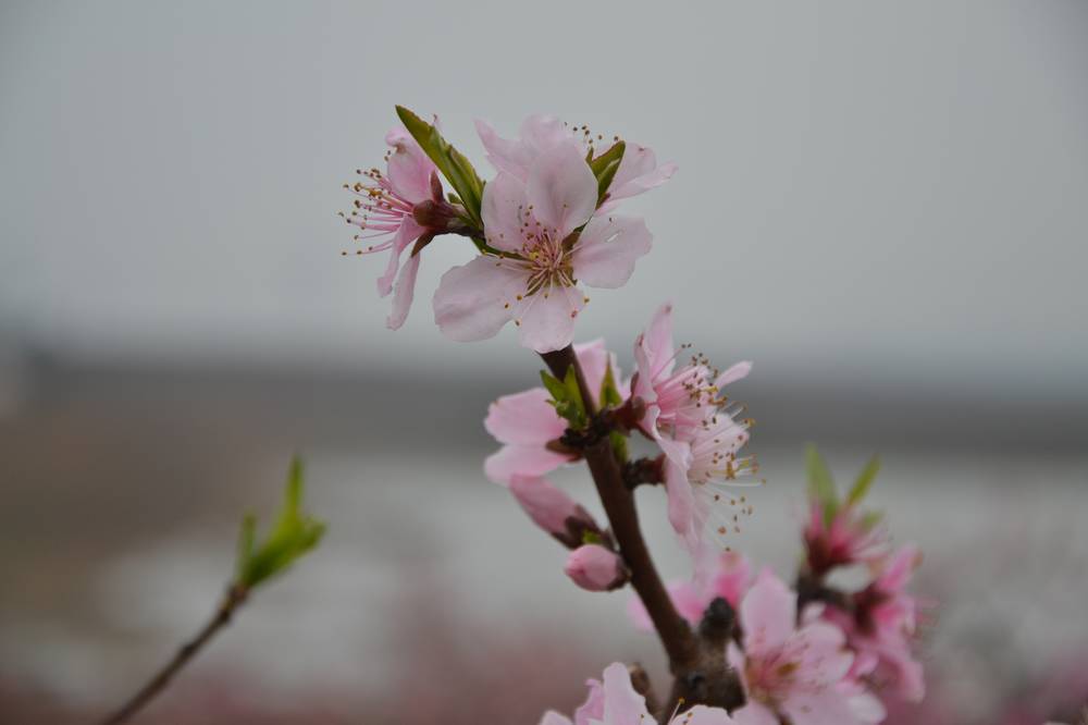 2012.4.4һ95.jpg