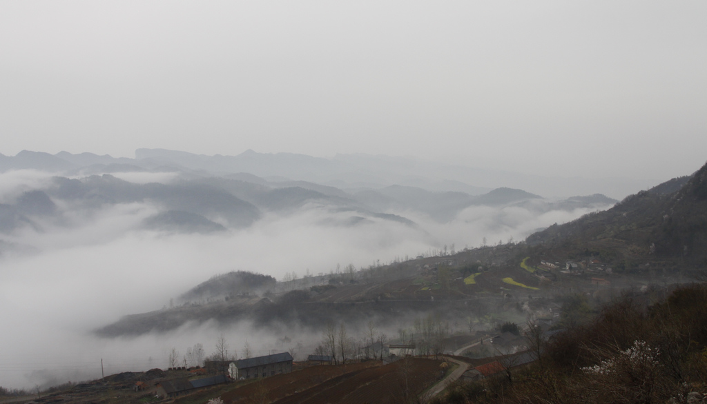 _mg_0530.jpg