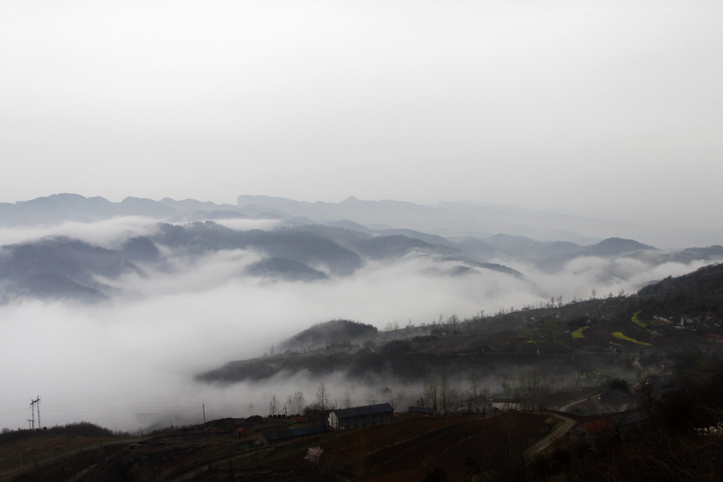 _mg_0531.jpg