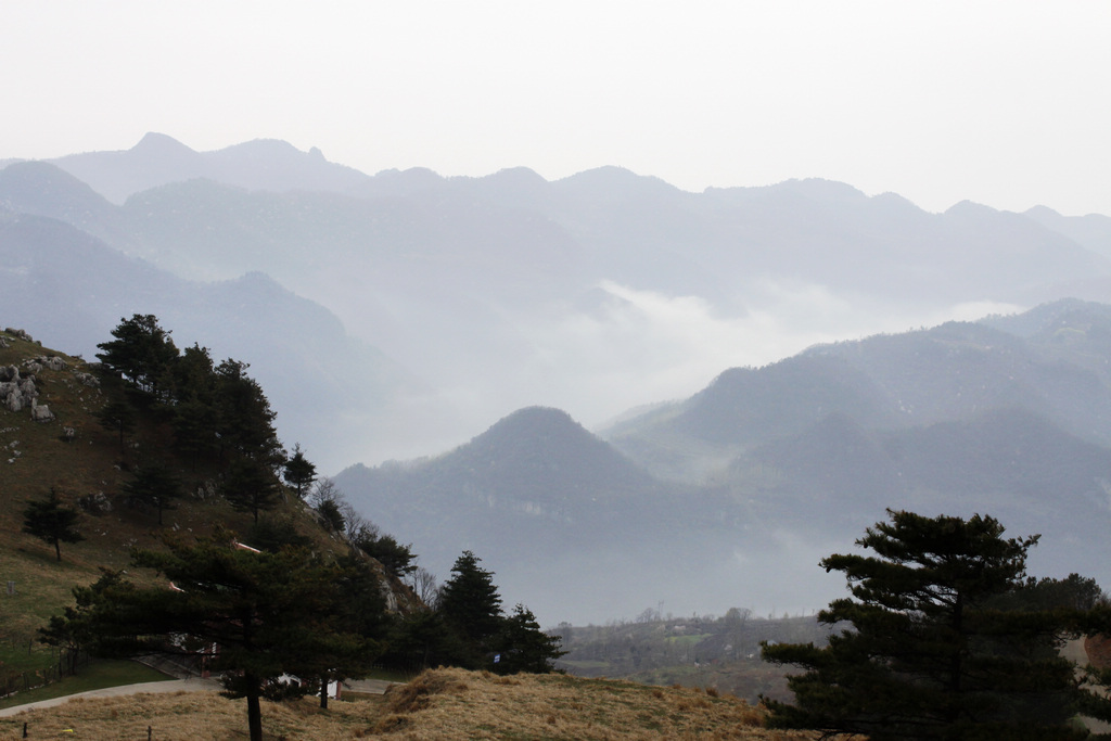 _mg_0536.jpg