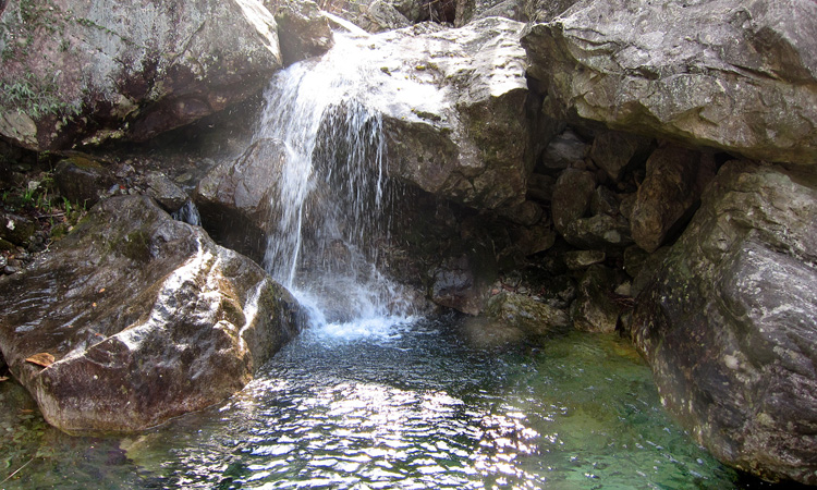 img_3792.jpg