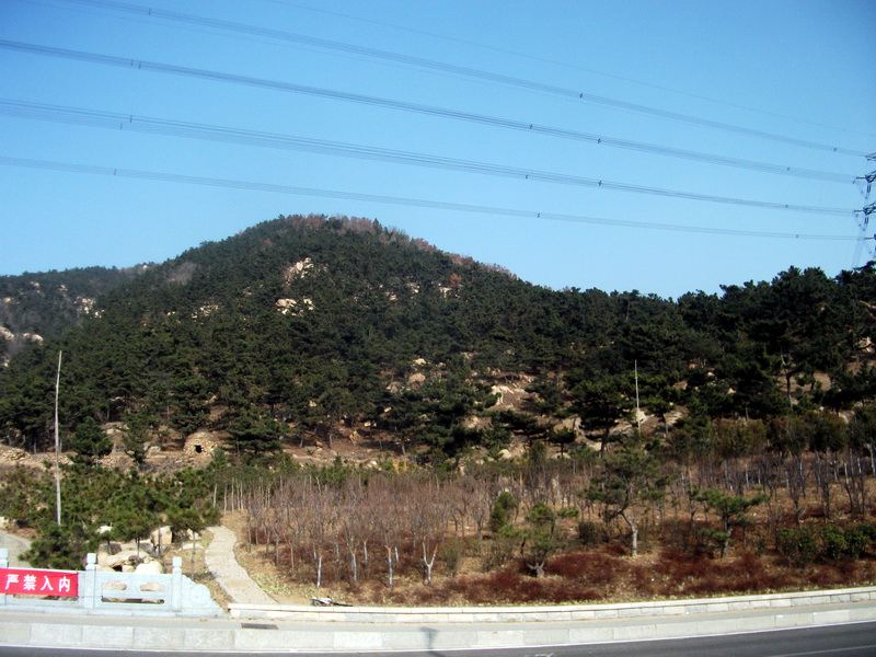 dscf0436.jpg