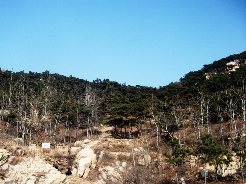 dscf0433.jpg